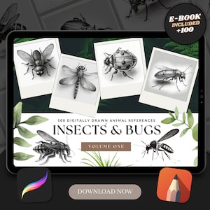 100 Insect Procreate Brush Stamps | Tattoo Designs | Digital Art | Procreate Brushes | Tattoo Flash Sheets | Insect Art