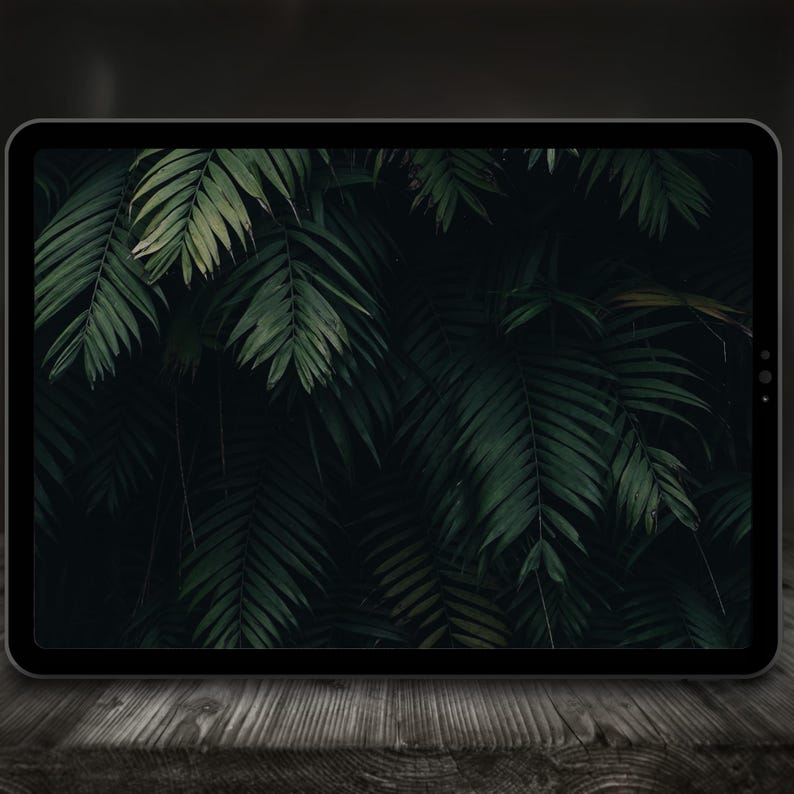 May include: A digital tablet displays a lush, dark green image of tropical palm leaves. The leaves are layered, creating a dense, textured pattern. The tablet rests on a weathered wooden surface, with the screen's dark tones contrasting the wood's lighter hues.