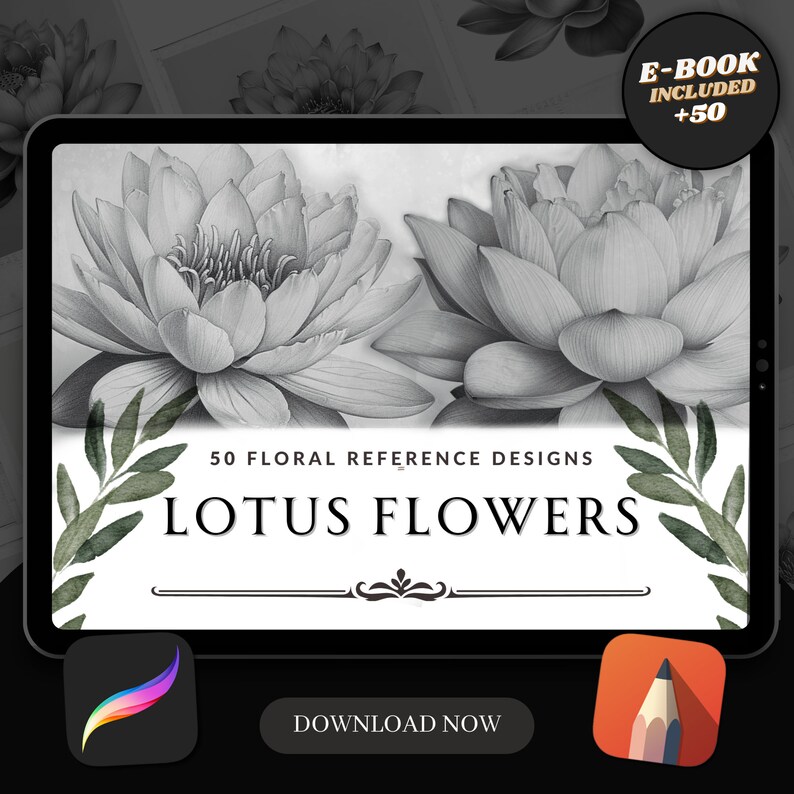 Lotus Flower Tattoo Procreate Brush Stamps: Floral Art Designs (digital ...