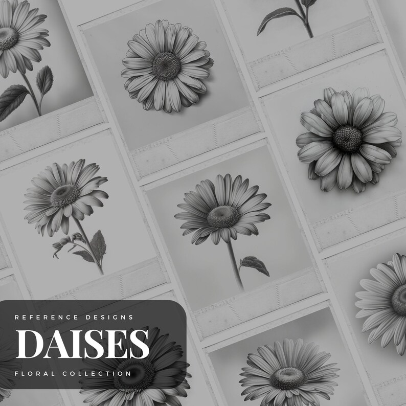50 Daisies Procreate Brush Stamps | Tattoo Designs | Digital Art ...