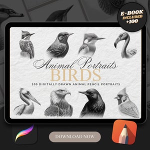 100 Bird Procreate Brush Stamps: Tattoo Designs (Digital Download)