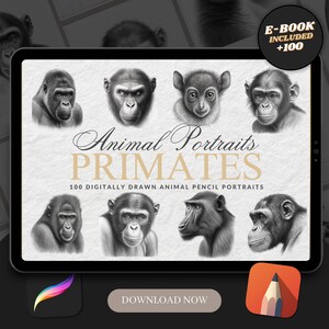 Primate Tattoo Designs: 100 Procreate Brush Stamps (Digital Download)