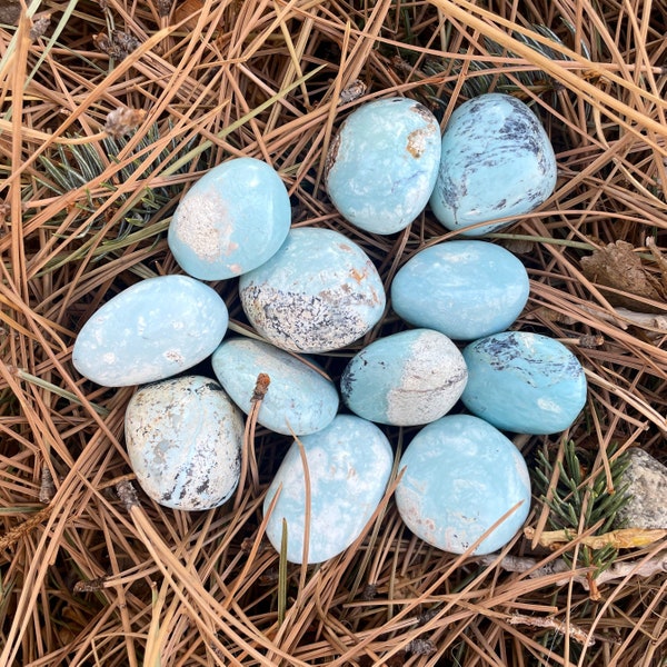 Madagascar Robin Egg Turquoise | Robin Egg Turquoise Tumbles | Robin Egg Turquoise Pocket Stone | Robin Egg Turquoise from Madagascar