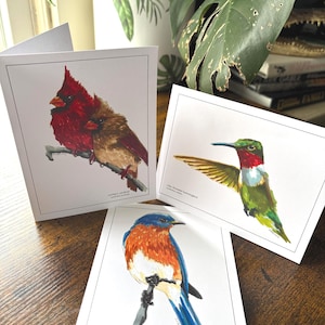 Tarjetas de felicitación de aves