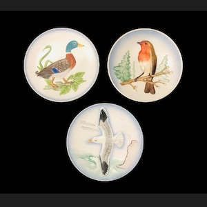 Vintage GOEBEL Wildlife Handpainted Collector Plates, Rodental West Germany, Mallard, Robin, Seagull, Bird Collector Plates