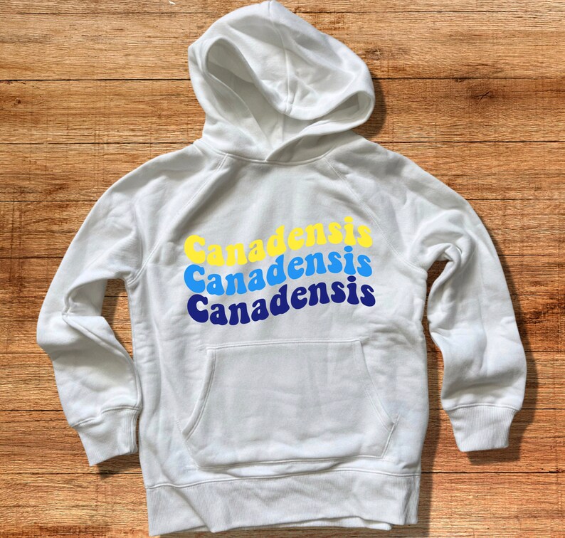May include: White hooded sweatshirt with the word "Canadensis" repeated three times in a retro font, with each word in a different color: yellow, blue, and navy blue.