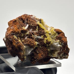 May include: A close-up of a mineral specimen featuring a mix of colors and textures. The rock has a reddish-brown base with clusters of small, white, needle-like crystals and patches of yellow, granular material. The specimen is displayed on a clear stand.