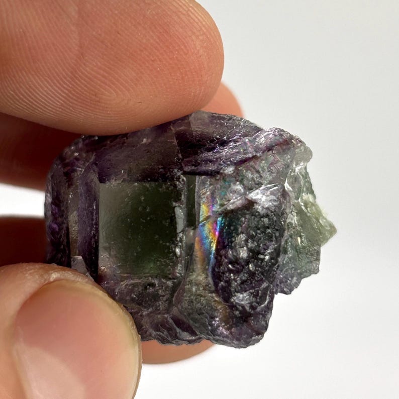 May include: A raw, uncut fluorite crystal with a mix of purple, green, and clear sections. The crystal has a rough, natural texture and displays a rainbow iridescence in the light. The mineral is held in a hand.