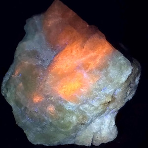 May include: A raw mineral specimen exhibiting fluorescent properties under ultraviolet light. The stone features a textured, crystalline surface with a prominent central patch of glowing orange luminescence surrounded by pale, translucent white areas.