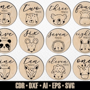 12 faits marquants mensuels pour bébé animal dessinés à la main SVG. De quelques mois à un an. Fichier de découpe numérique. Marqueurs photo Glowforge SVG