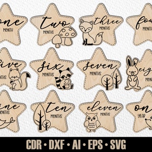 12 jalons mensuels dessinés à la main pour bébés animaux des bois Woodlans SVG. De quelques mois à un an. Fichier de découpe numérique. Marqueurs photo Glowforge SVG