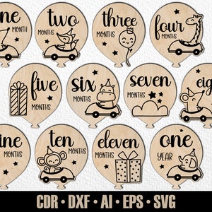 12 handgetekende maandelijkse Safari Baby Animal Milestones SVG. Instellen van maanden tot een jaar. Digitaal snijbestand. Glowforge SVG-fotomarkeringen