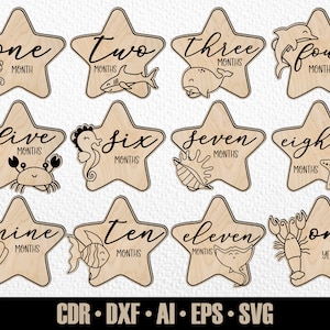 12 jalons mensuels de la vie marine de bébé dessinés à la main SVG. De quelques mois à un an. Marqueurs photo. Fichier de découpe numérique. Fichier SVG Glowforge