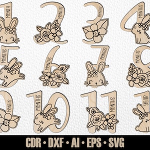 12 handgetekende maandelijkse babykonijn mijlpalen SVG. Instellen van maanden tot een jaar. Digitaal snijbestand. Glowforge SVG-fotomarkeringen