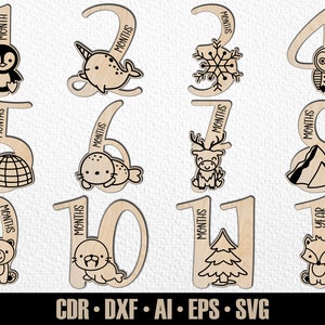 12 événements SVG mensuels dessinés à la main pour bébés animaux de l'Arctique. De quelques mois à un an. Fichier de découpe numérique. Marqueurs photo Glowforge SVG