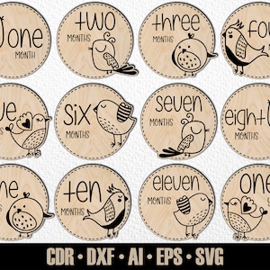 12 faits marquants du mois pour bébés oiseaux dessinés à la main SVG. De quelques mois à un an. Fichier de découpe numérique. Marqueurs photo Glowforge SVG