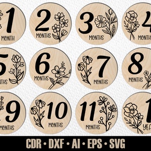 12 jalons mensuels pour bébé SVG. Jalons arrondis. De quelques mois à un an. Marqueurs photo. Fichier de découpe numérique. Fichier SVG Glowforge