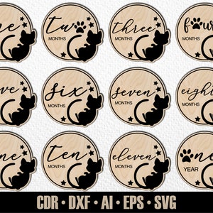 12 faits marquants du mois pour bébé chat dessinés à la main SVG. De quelques mois à un an. Fichier de découpe numérique. Marqueurs photo Glowforge SVG