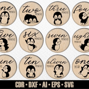 12 marcos mensais desenhados à mão do pinguim bebê SVG. Defina de meses a um ano. Arquivo de corte digital. Marcadores de fotos Glowforge SVG