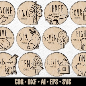 12 handgetekende maandelijkse Woodlans Baby Animal Milestones SVG. Instellen van maanden tot een jaar. Digitaal snijbestand. Glowforge SVG-fotomarkeringen