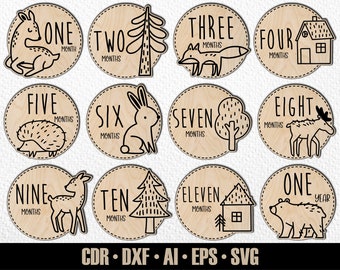12 Hand Drawn Monthly Woodlans Baby Animal Milestones SVG. Set from months to one year. Digital Cut File. Glowforge SVG photo markers