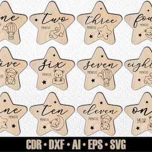 12 handgetekende maandelijkse Woodlans Baby Animal Milestones SVG. Instellen van maanden tot een jaar. Digitaal snijbestand. Glowforge SVG-fotomarkeringen