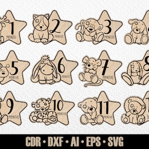 12 faits marquants mensuels pour bébé animal dessinés à la main SVG. De quelques mois à un an. Marqueurs photo. Fichier de découpe numérique. Fichier SVG Glowforge