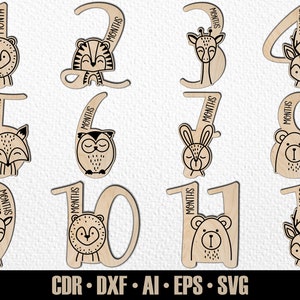 12 jalons mensuels dessinés à la main pour bébés animaux des bois Woodlans SVG. Fixe de mois à un an. Fichier de découpe numérique. Marqueurs photo Glowforge SVG