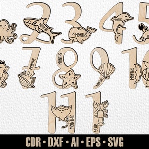 12 jalons mensuels de la vie marine de bébé dessinés à la main SVG. De quelques mois à un an. Marqueurs photo. Fichier de découpe numérique. Fichier SVG Glowforge