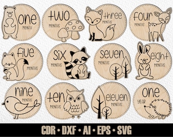 12 Hand Drawn Monthly Woodlans Baby Animal Milestones SVG #24. Set from months to one year. Digital Cut File. Glowforge SVG photo markers