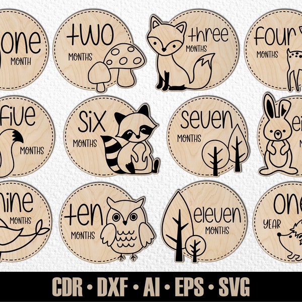 12 Hand Drawn Monthly Woodlans Baby Animal Milestones SVG #24. Set from months to one year. Digital Cut File. Glowforge SVG photo markers