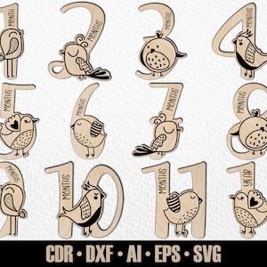 12 faits marquants du mois pour bébés oiseaux dessinés à la main SVG. De quelques mois à un an. Fichier de découpe numérique. Marqueurs photo Glowforge SVG