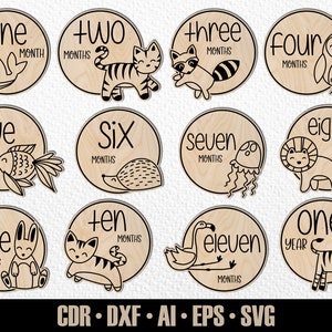 12 hitos mensuales de animales bebés de Woodlans dibujados a mano SVG. Conjunto desde meses hasta un año. Archivo de corte digital. Marcadores de fotos SVG de Glowforge