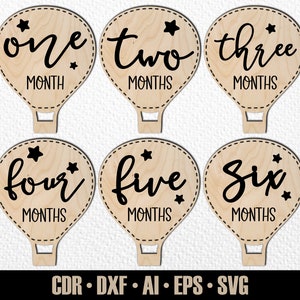 12 monatliche Baby Meilensteine SVG. Set von Monaten bis zu einem Jahr. Foto-Marker. Digitale Schnittdatei. Glowforge SVG-Datei. Laser-Schnitt