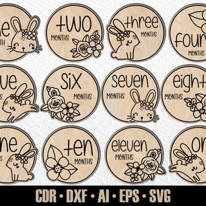 12 faits marquants mensuels pour bébé lapin dessinés à la main, SVG. De quelques mois à un an. Fichier de découpe numérique. Marqueurs photo Glowforge SVG