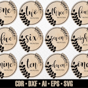 12 Monatliche Blumen Baby Meilensteine SVG. Set von Monaten bis zu einem Jahr. Foto-Marker. Digitale Schnittdatei. Glowforge SVG-Datei. Laser-Schnitt