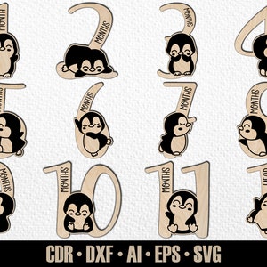 12 faits marquants du mois pour bébé pingouin dessinés à la main, SVG. De quelques mois à un an. Fichier de découpe numérique. Marqueurs photo Glowforge SVG
