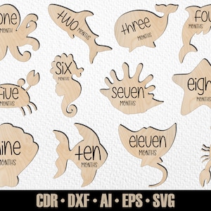 12 jalons mensuels de la vie marine de bébé dessinés à la main SVG. De quelques mois à un an. Marqueurs photo. Fichier de découpe numérique. Fichier SVG Glowforge