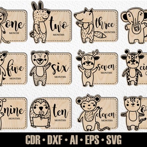 12 étapes mensuelles des bébés animaux SVG. De quelques mois à un an. Marqueurs photo. Fichier de découpe numérique. Fichier SVG Glowforge
