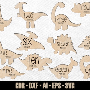 12 pietre miliari mensili di dinosauri neonati disegnati a mano SVG. Impostati da mesi a un anno. Dino Photo Marker. File di taglio digitale. File SVG Glowforge