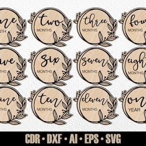 12 tappe mensili floreali per neonati SVG. Impostate da mesi a un anno. Segnalibri fotografici. File di taglio digitale. File SVG Glowforge. Taglio laser