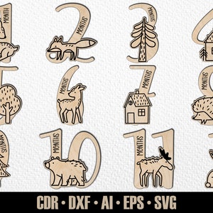 12 jalons mensuels dessinés à la main pour bébés animaux des bois Woodlans SVG. De quelques mois à un an. Fichier de découpe numérique. Marqueurs photo Glowforge SVG