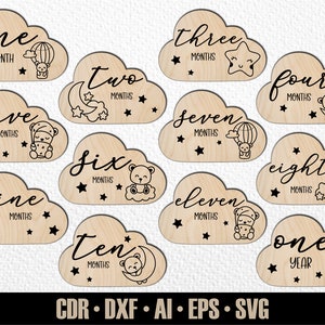 12 hitos mensuales de animales bebés de Woodlans dibujados a mano SVG. Conjunto desde meses hasta un año. Archivo de corte digital. Marcadores de fotos SVG de Glowforge