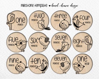 Hand Drawn Baby Bird Monthly Milestones SVG (Digital Cut File). Laser cut SVG photo markers