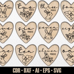 12 faits marquants mensuels pour bébé lapin dessinés à la main, SVG. De quelques mois à un an. Fichier de découpe numérique. Marqueurs photo Glowforge SVG