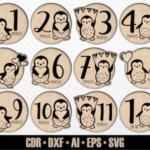 12 faits marquants du mois pour bébé pingouin dessinés à la main, SVG. De quelques mois à un an. Fichier de découpe numérique. Marqueurs photo Glowforge SVG