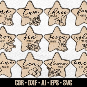 12 faits marquants mensuels pour bébé lapin dessinés à la main, SVG. De quelques mois à un an. Fichier de découpe numérique. Marqueurs photo Glowforge SVG