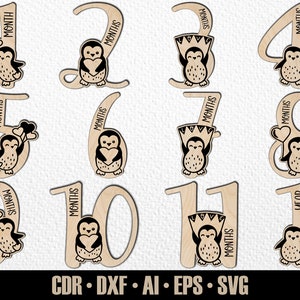 12 marcos mensais desenhados à mão do pinguim bebê SVG. Defina de mês a um ano. Arquivo de corte digital. Marcadores de fotos Glowforge SVG