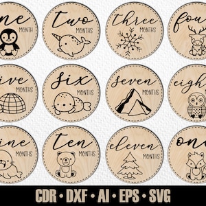 12 handgetekende maandelijkse Arctic Baby Animal Milestones SVG. Instellen van maanden tot een jaar. Digitaal snijbestand. Glowforge SVG-fotomarkeringen