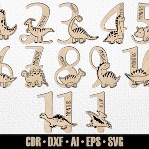 12 Handgezeichnete monatliche Baby Dinosaurier Meilensteine SVG. Set von Monaten bis zu einem Jahr. Dino Foto Marker. Digitale Schnittdatei. Glowforge SVG-Datei